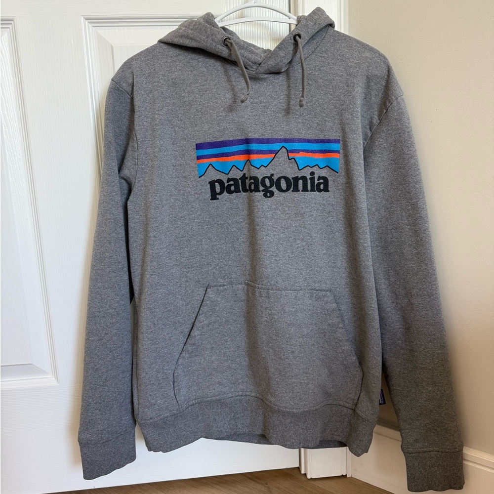 Patagonia Gray Hoodie with Multicolor Logo